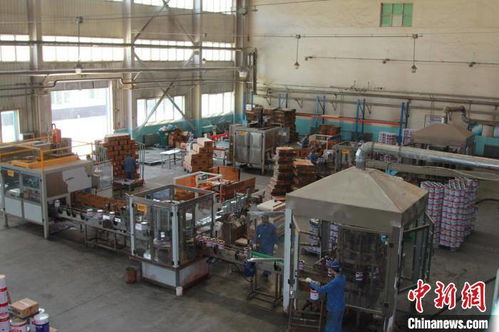 一桶漆里的国家重器 甘肃化工五十载破垄断，技术精华铸就重点工程新底色